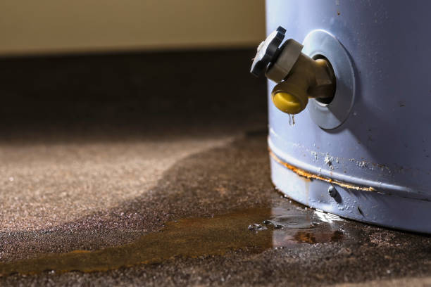Best 24/7 water damage repair  in Lanse, MI