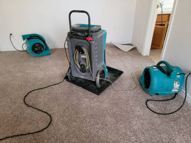 Best Residential water damage restoration  in Lanse, MI