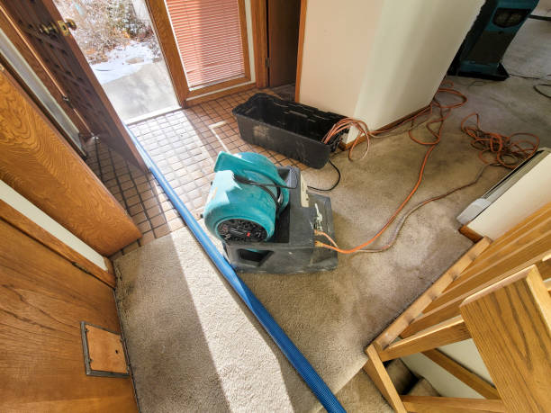 Best Flood damage cleanup  in Lanse, MI