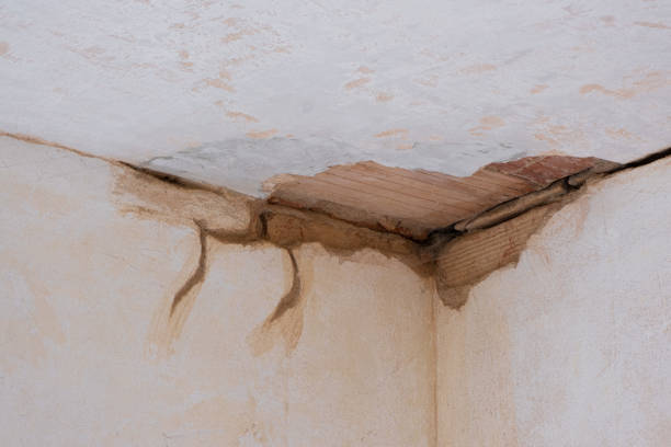 Best Fire Damage Restoration  in Lanse, MI