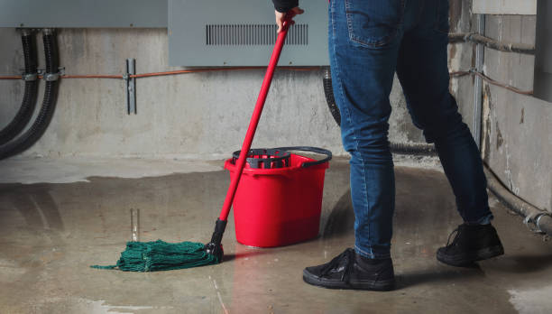 Best Water damage restoration near me  in Lanse, MI