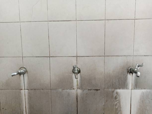 Best Water damage contractors near me  in Lanse, MI