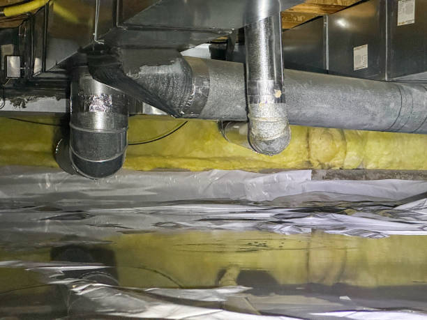 Best Local water damage restoration  in Lanse, MI