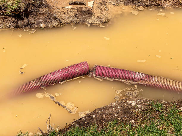 Best Mold removal after water damage  in Lanse, MI